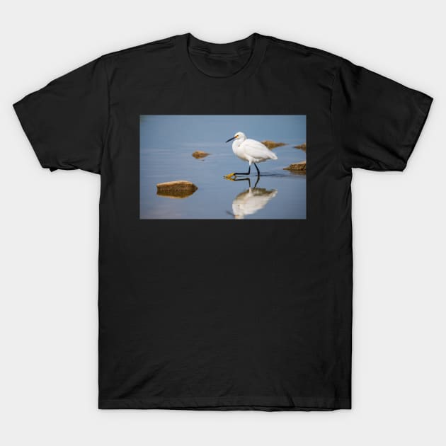 Reflection T-Shirt by gdb2